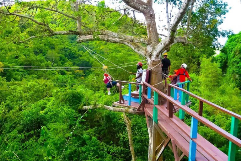 Ziplining Tour