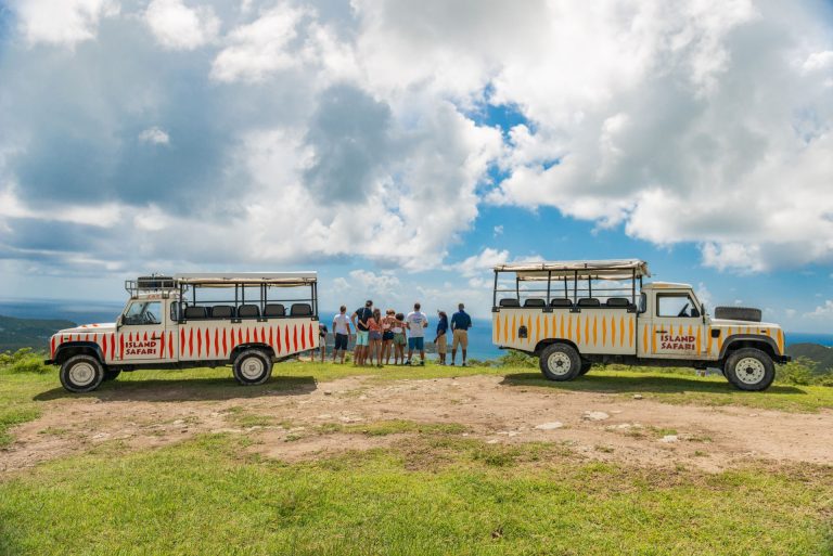 Island Safari Tour Image